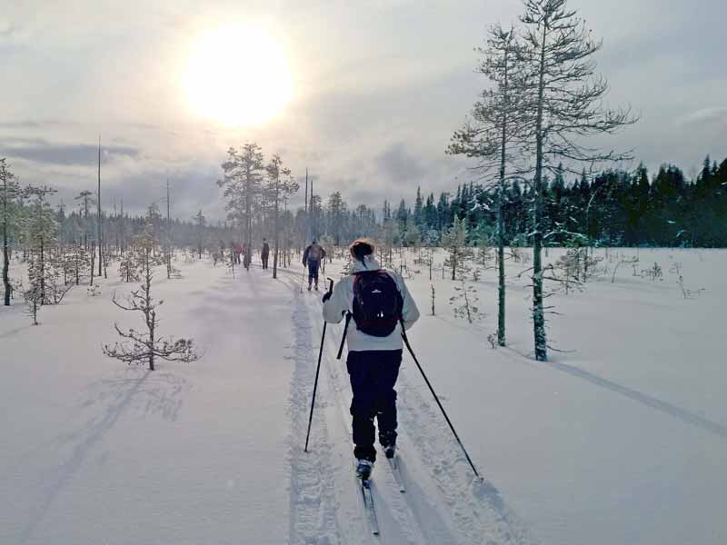 Cross Country Skiing in Hossa and Kalevala