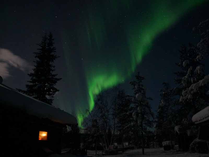 Northern Lights on a Dogsled Tour