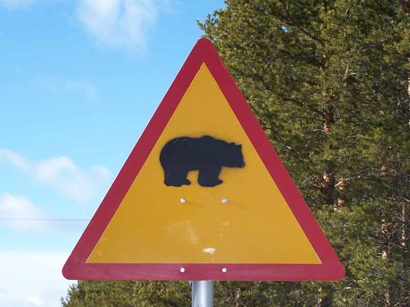 Bear sign on the road in Sweden