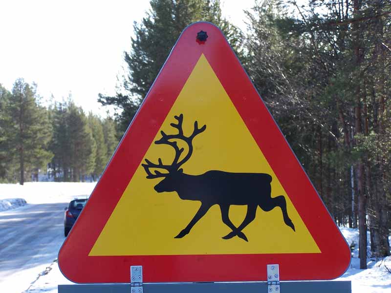 Moose sign while driving in Sweden