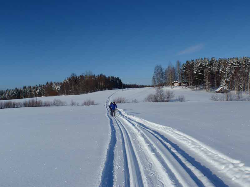 Cross Country Skiing in Eastern Finland
