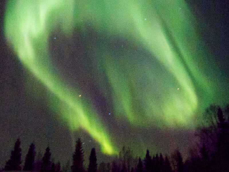 Many dogsled tours give very good chances to see the Northern Lights