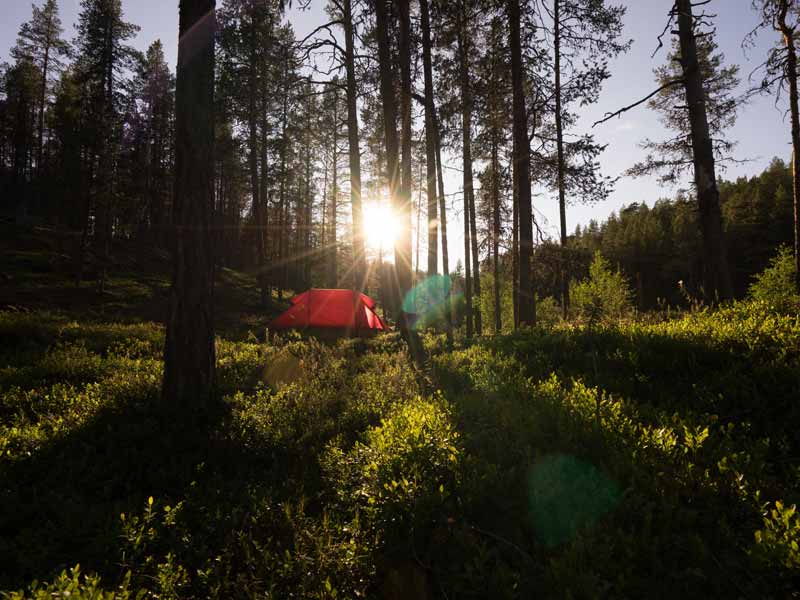 Discover Packrafting in Helvetinjärvi National Park