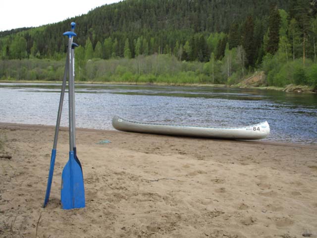 Typical paddles for Canadian canoes.