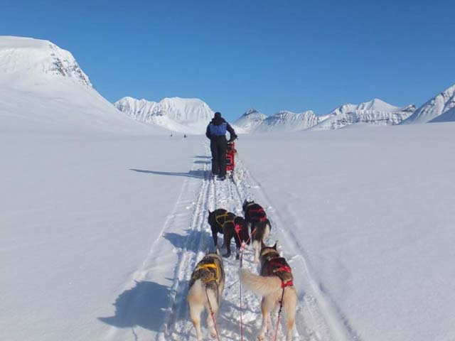 Dog Sledding and Winter Camping on the King's Trail.