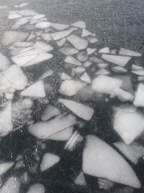 More beautiful ice!