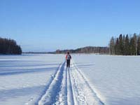 Cross country skiing in Finland.