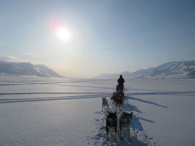In Svalbard, the winter season extends far into May, and with the Midnight Sun appearing earlier here than further south, it's a great time for a dogsled expedition!