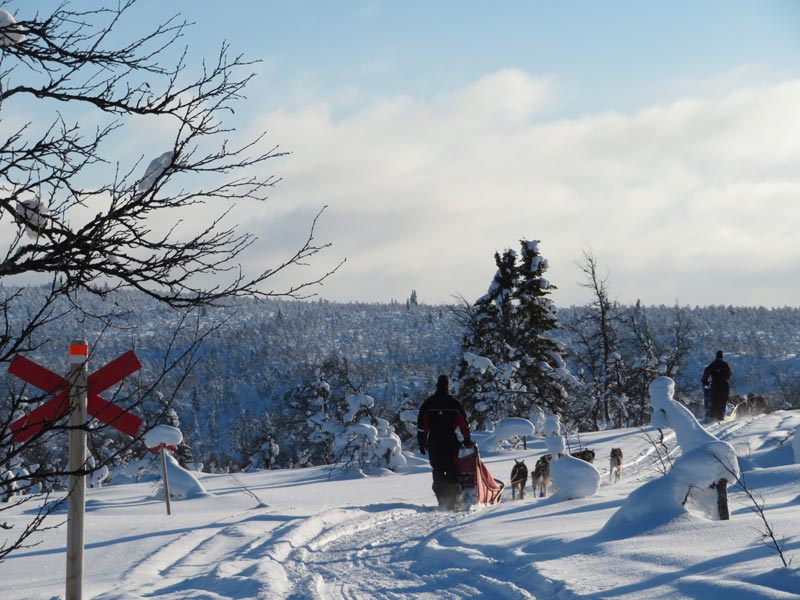Private Tours for Dog Sledding, Ski Touring and Ice Skating. Photo: Kayleigh Macmillan.