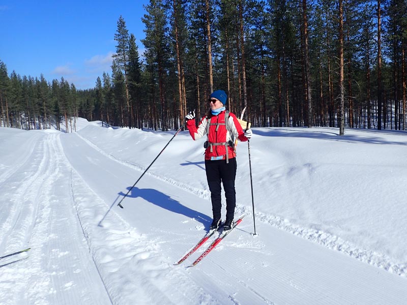 Trees, Tracks and Trails - 100km on Cross Country Skis through the Wilderness of North-East Finland. Photo: Nature Travels.