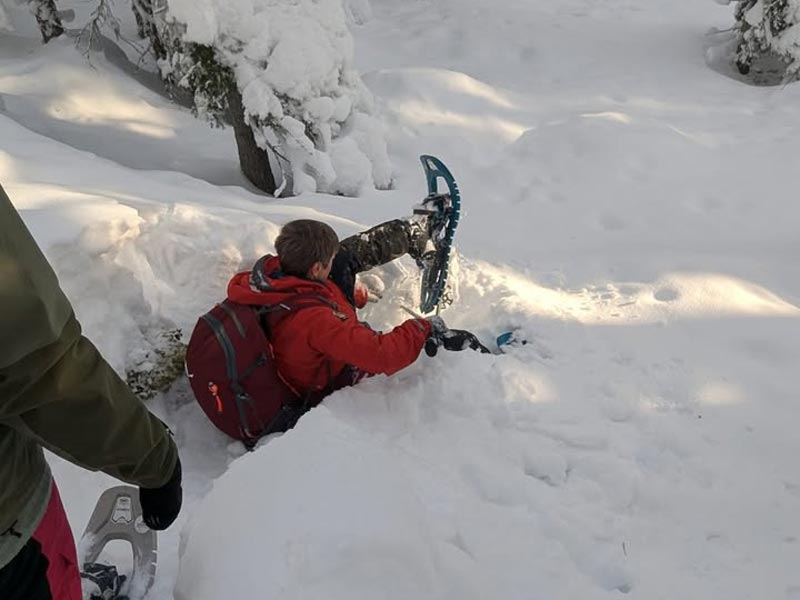 The Variety and Beauty of Snowshoeing in Finnish Lapland. Photo: Christine Hogben.
