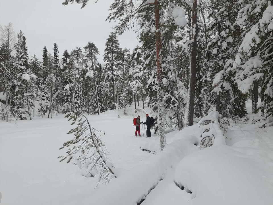 The Variety and Beauty of Snowshoeing in Finnish Lapland. Photo: Christine Hogben.