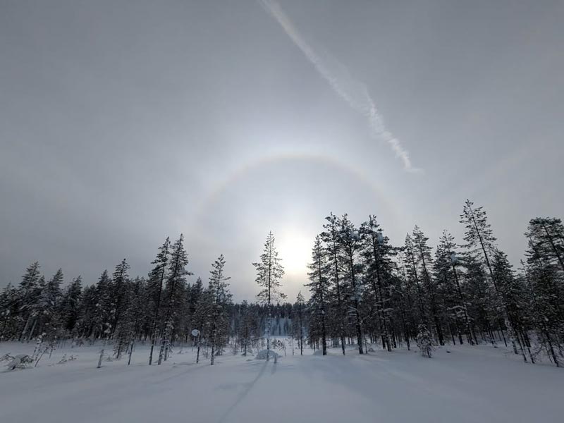 The Variety and Beauty of Snowshoeing in Finnish Lapland. Photo: Christine Hogben.