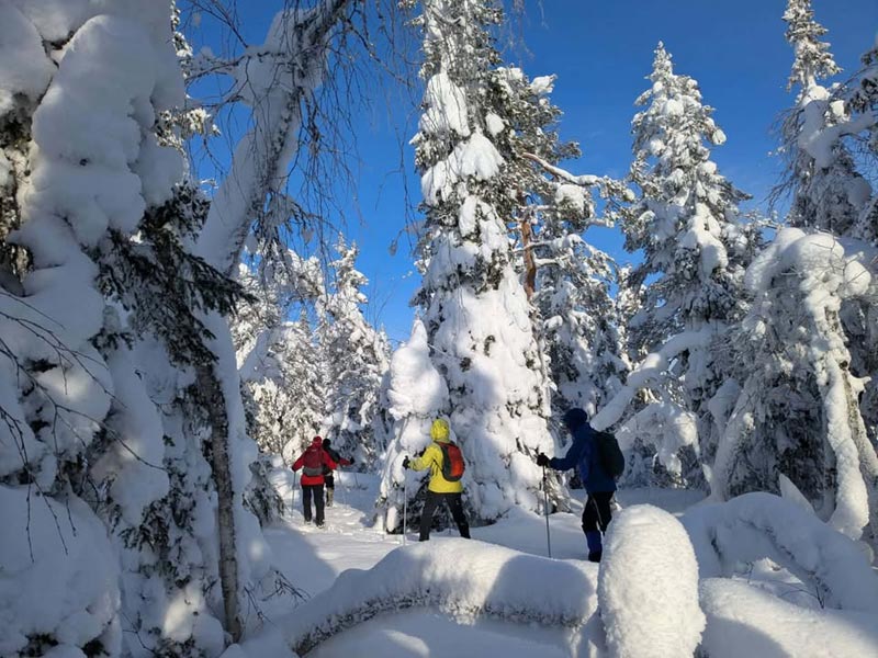The Variety and Beauty of Snowshoeing in Finnish Lapland. Photo: Christine Hogben.