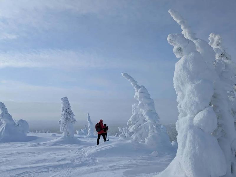 The Variety and Beauty of Snowshoeing in Finnish Lapland. Photo: Christine Hogben.