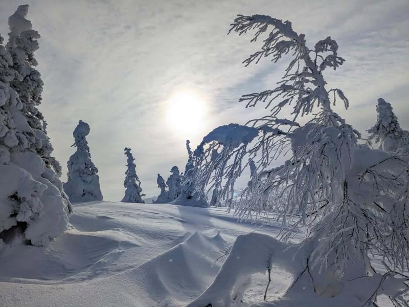 The Variety and Beauty of Snowshoeing in Finnish Lapland. Photo: Christine Hogben.