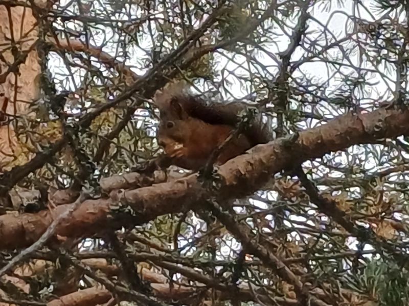 An autumn cycling adventure on Mjølkevegen in Jotunheimen, Norway. Photos: Nature Travels.