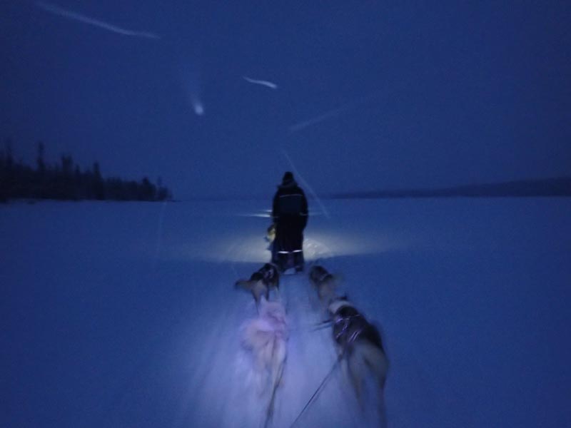 A trip report from Northern Lights Dog Sledding in Lapland. Photo: Nature Travels.