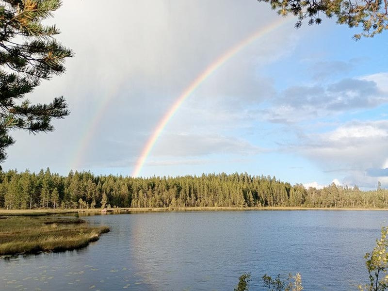 Canoeing and Wild Camping on the Svartälven River in Sweden. Photo: Ivan Roulson