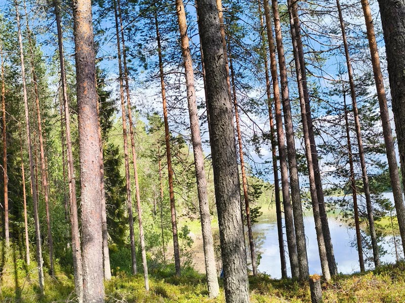 Canoeing and Kayaking on the Tar Route in Eastern Finland. Photo: Binyamin Farber