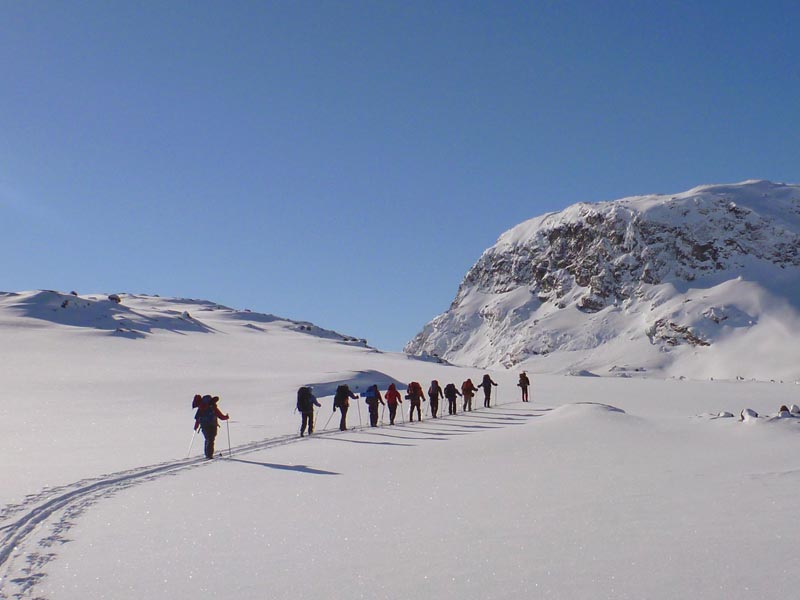 Ski Touring & Cross Country Skiing in Sweden, Finland & Norway 2024