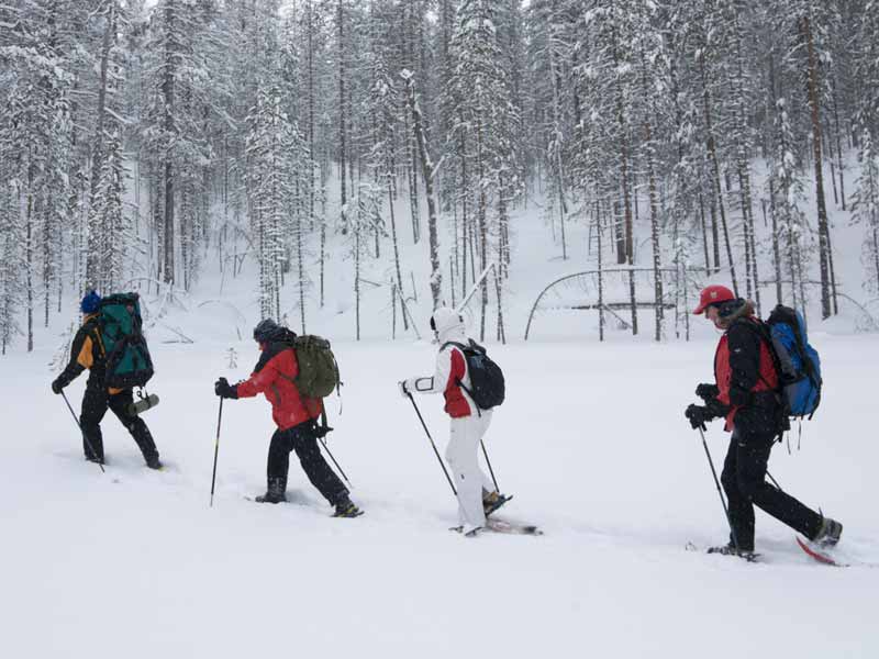 Snowshoeing Holidays in Finland 2025 Nature Travels