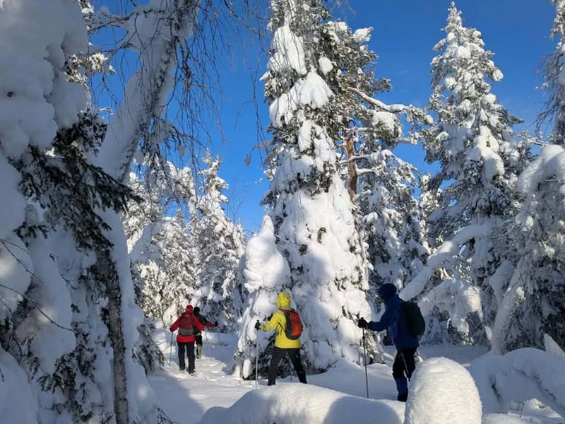 Snowshoeing