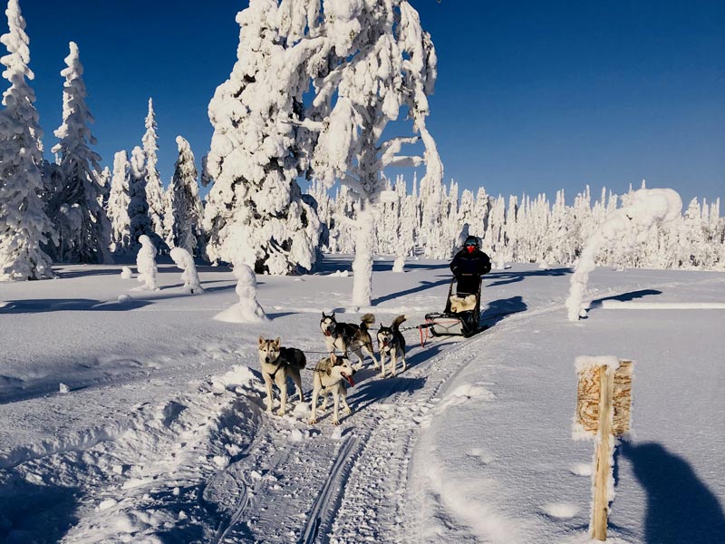 Winter Multi-activity Holidays