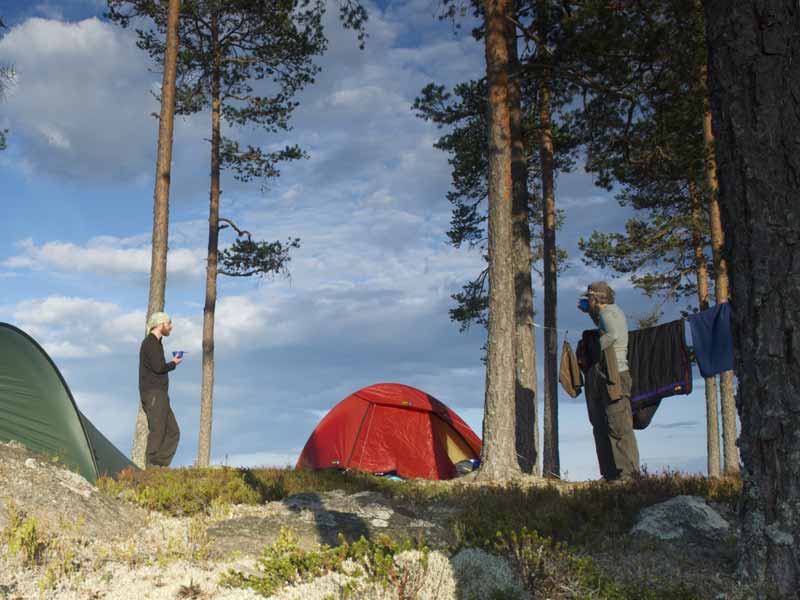 FAQs - Wild Camping and the Swedish Right of Public Access