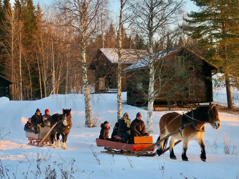 Winter Wonderland in Jämtland