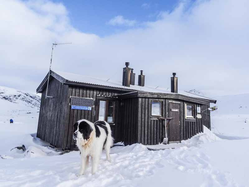 When To Go To Sweden, Finland & Norway - Nature Travels