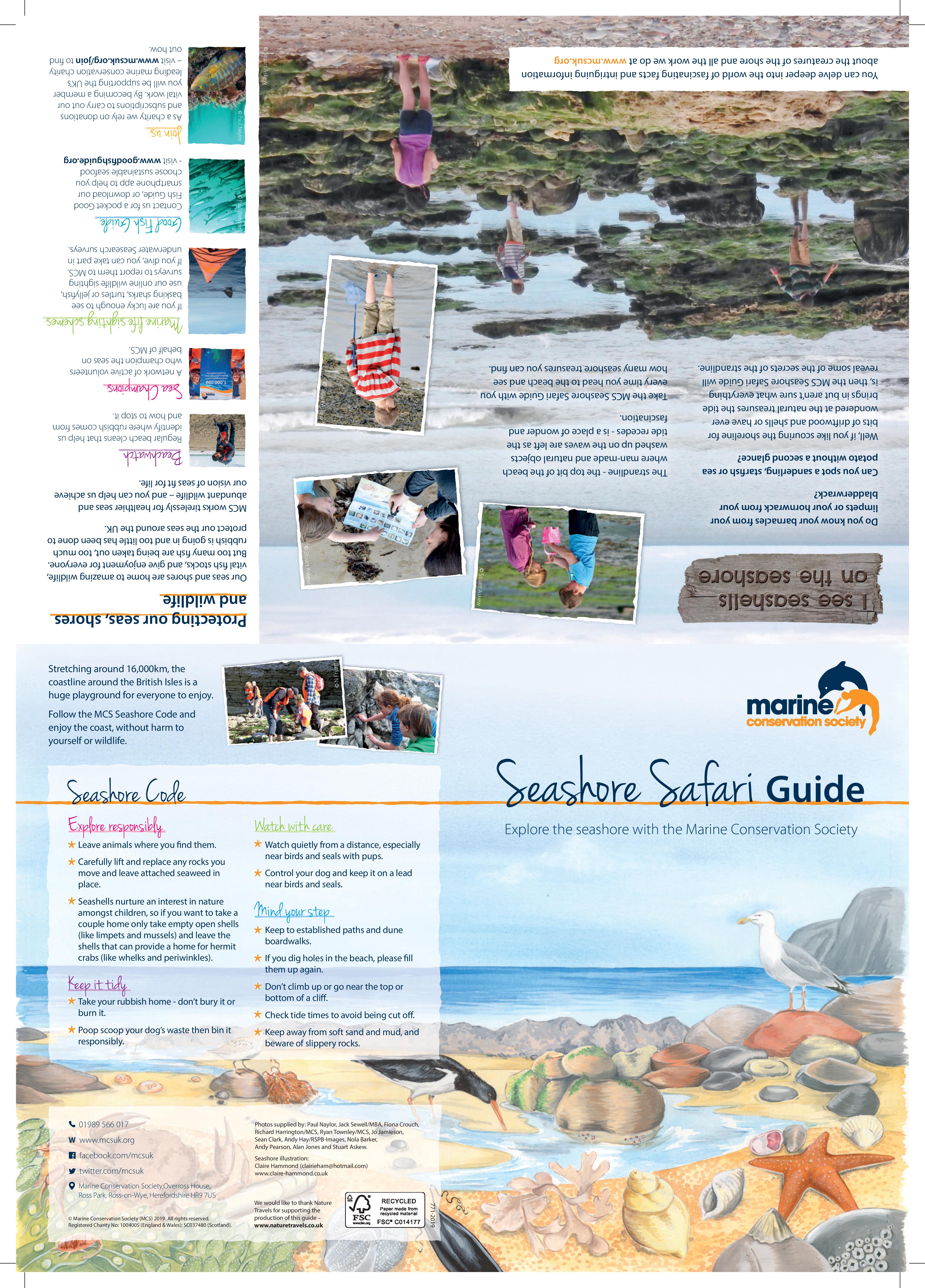 MCS Seashore Safari Guide part 1