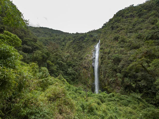 Neblina Cloudforest Reserve, Ecuador