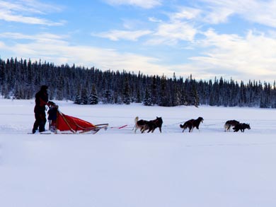 Point-to-Point Dog Sledding. Photo: Brian Dunlop