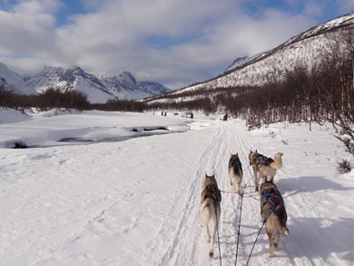 Challenging Husky Expeditions. Photo: Melle Lorijn