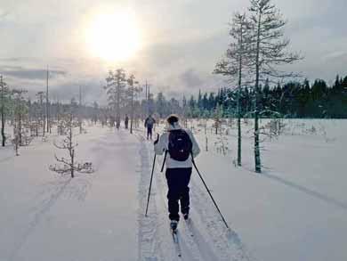 Cross Country Skiing in the Finnish-Russian Borderland