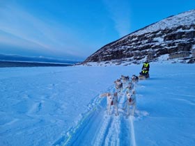 Dogsled Tours in Norway