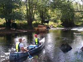 Compare Rural Canoe Tours