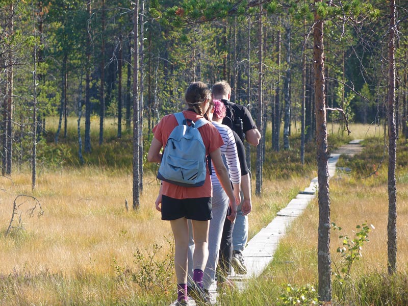 Explore the National Parks of Eastern Finland