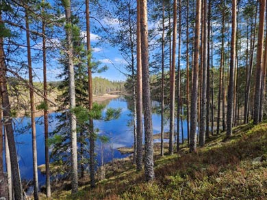 Explore the National Parks of Eastern Finland | Photo: AKA