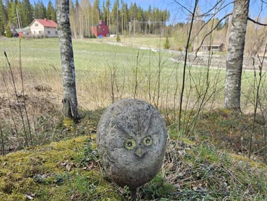 Explore the National Parks of Eastern Finland | Photo: Annie Clein