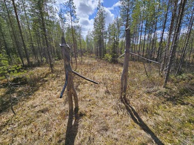 Explore the National Parks of Eastern Finland | Photo: Annie Clein