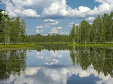North Karelia offers beautiful rural landscapes ideal for exploring by bike | Photo: AKA