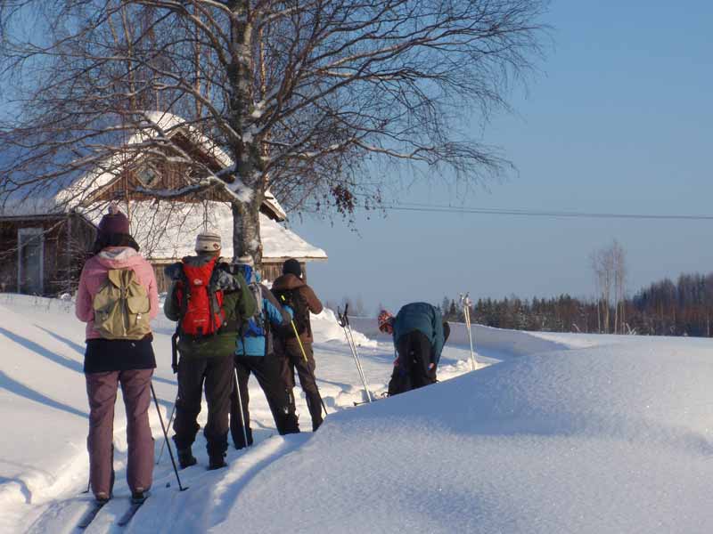 Photos of Cross Country Skiing in Eastern Finland
