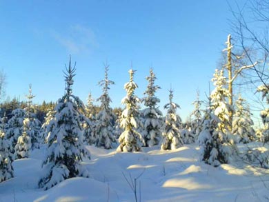 Cross Country Skiing in Eastern Finland | Photo: Avril Corbett