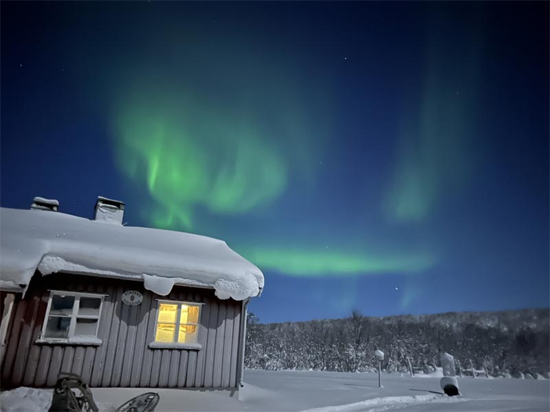 Northern Lights during Aurora Husky Adventure in Finnmark