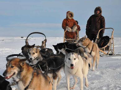 Aurora Husky Adventure in Finnmark | Photo: EH