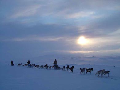 Sledding up on the Finnmark Plateau | Photo: EH