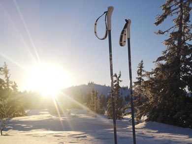 Winter sun in South Lapland | Photo: ET