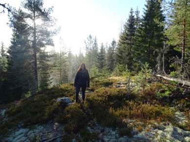 Hiking in the surrounding forest | Photo: Alice Palmer